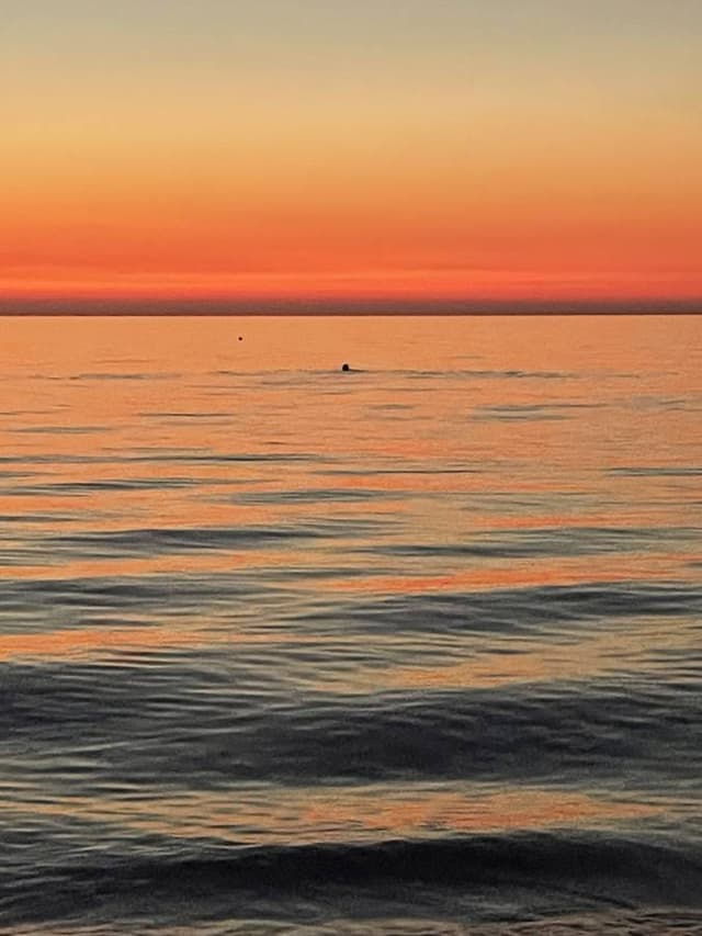 Foto 5 van Marlies V. (13-8-23)