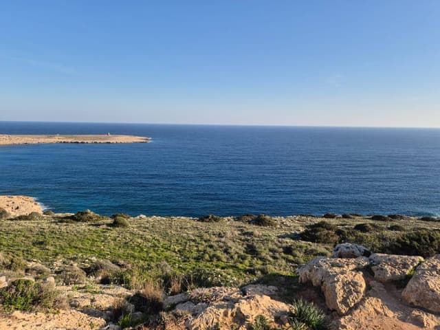 Fotografia 2 realizată de Cornel A. (14.01.26)