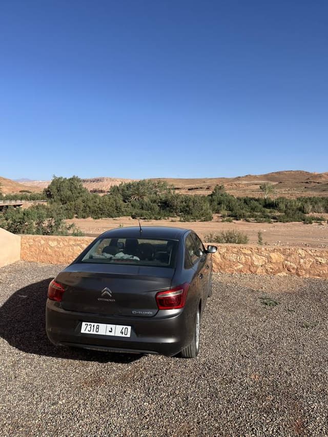 Photo 7 by Tomasz P. (11/13/24)