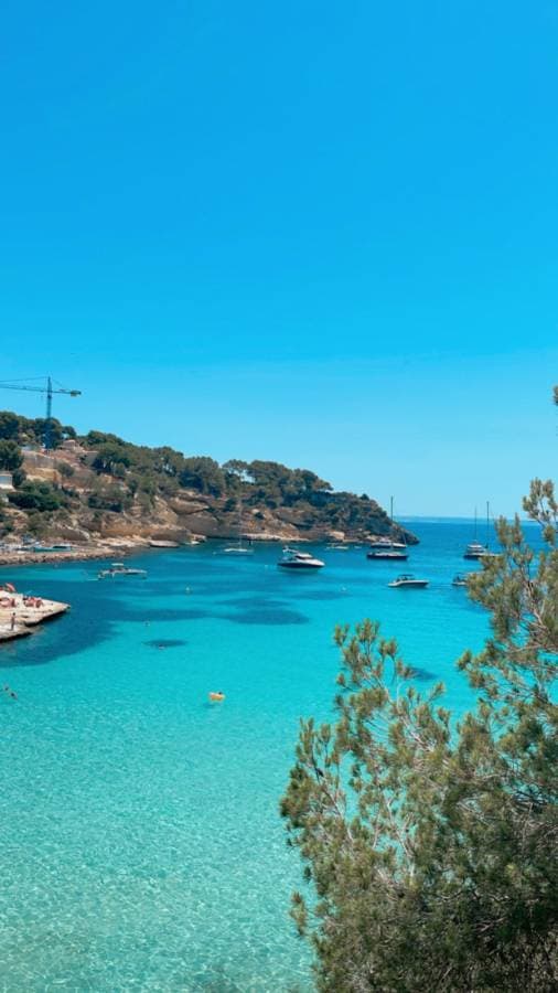 Photo by marcos F. about renting a Volkswagen T-Cross in the Balearic Islands (7/21/25)