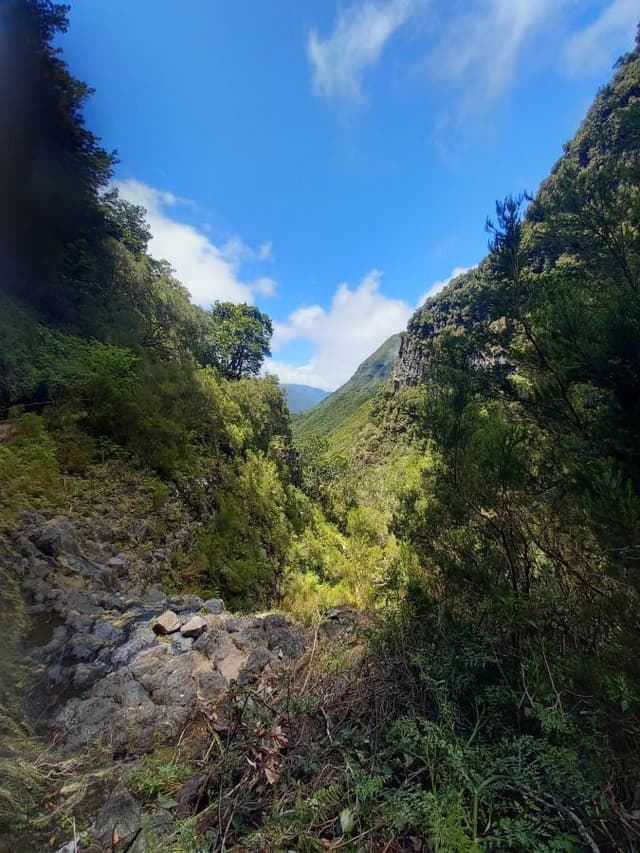 Photo 3 by Ronaldus Wilhelmus V. about renting a Seat Arona in Funchal (6/24/23)