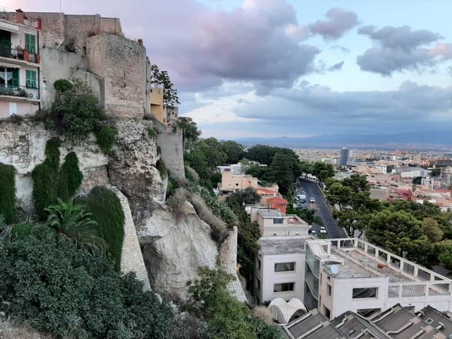 Fotografia 6 realizată de Carmen P. (23.09.22)
