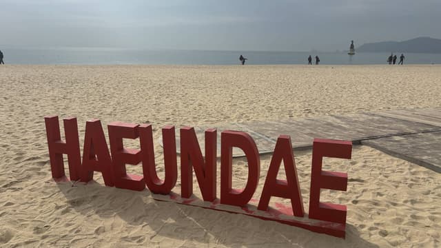 (25/2/16) yuko O. による写真