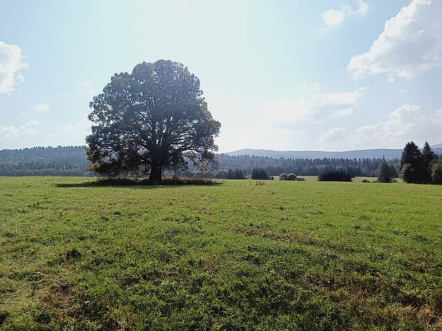 Foto 5 von Horst N. über die Anmietung eines Skoda Kamiq in Krakau (7.9.24)