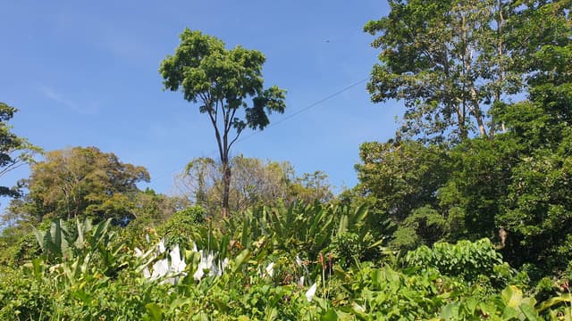 Photo 5 by Petra A. (3/29/23)