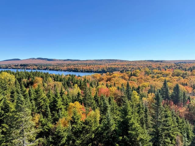 Photo par FREDERIQUE L. (18/10/25)