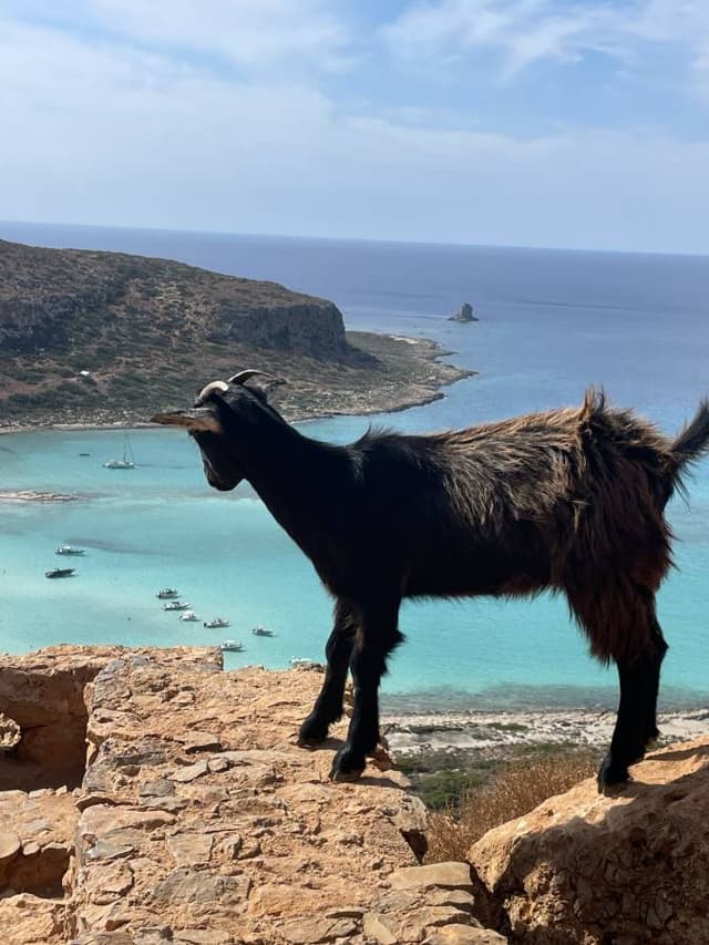 Photo 2 by Kevin U. about renting a Kia Picanto in Crete (9/15/24)