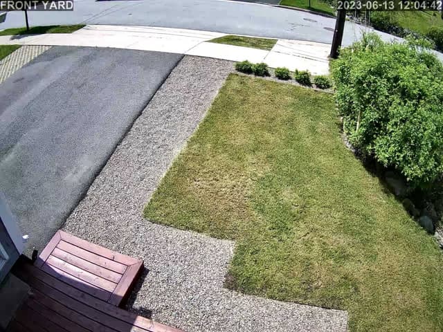 Photo by Stefano D. (12/13/23)