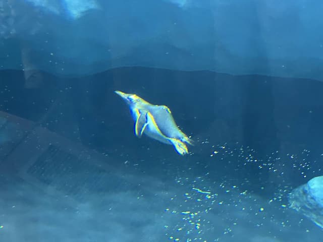 Photo 6 by Arash J. (12/13/25)