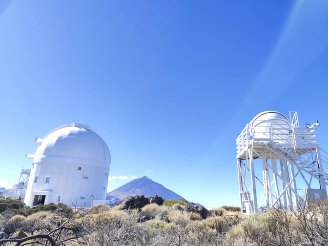 Nuotrauka 7, pateikta Algimantas K. (25-12-10)