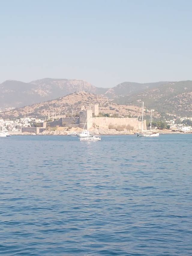 Foto 3 van Ahmed H. (27-8-24)