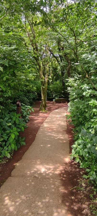 Foto 5 de Daniel C. (7/8/24)