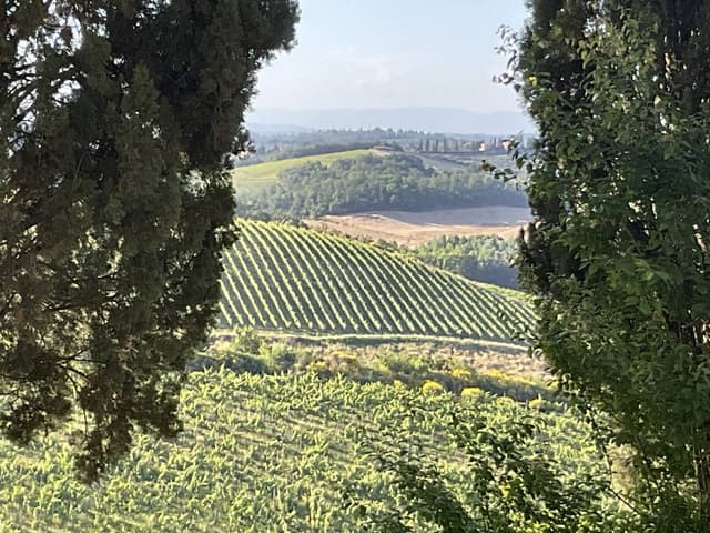 Photo 3 by John W. about renting a Toyota C-HR in Florence (6/25/24)