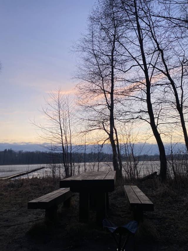 Photo 2 by Ylenia C. (3/26/26)