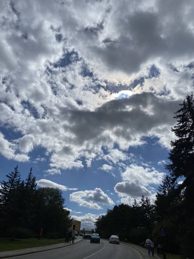 Bogac Fethi G. tarafından 5 fotoğraf (23.10.24)