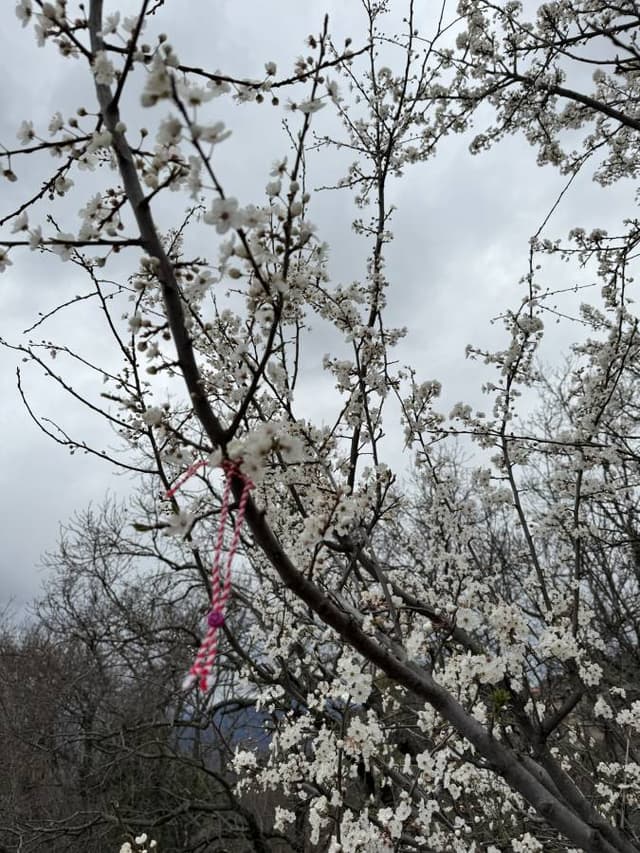 Foto 7, ko uzņēmis Jana K. (9.03.24.) īri