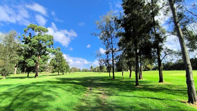 Photo 3 by WING CHUEN C. (3/25/26)