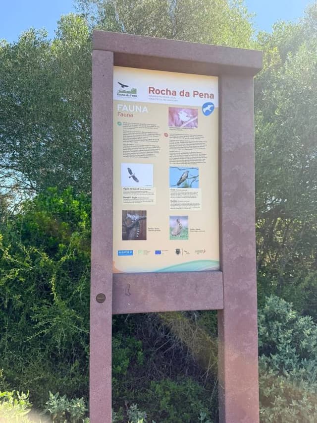 Photo 5 by John B. (3/31/26)