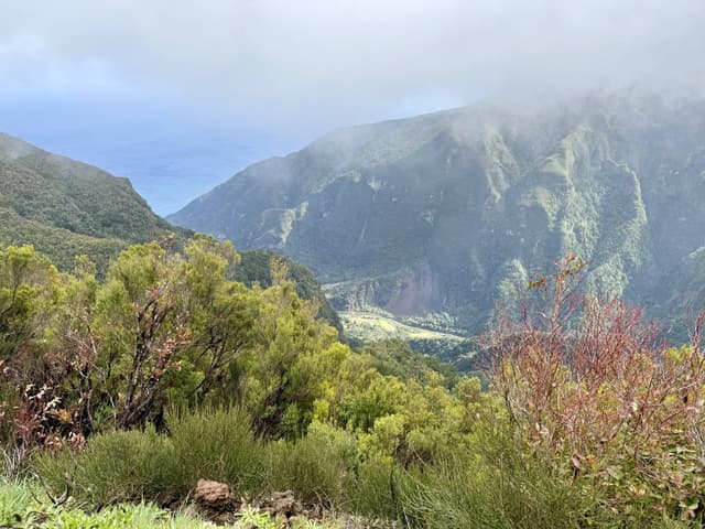 Photo 6 by Shannon H. about renting a Kia Ceed at Madeira Funchal Airport (3/25/25)