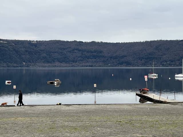 תמונה 10 מאת SHLOMO H. (26.1.26)