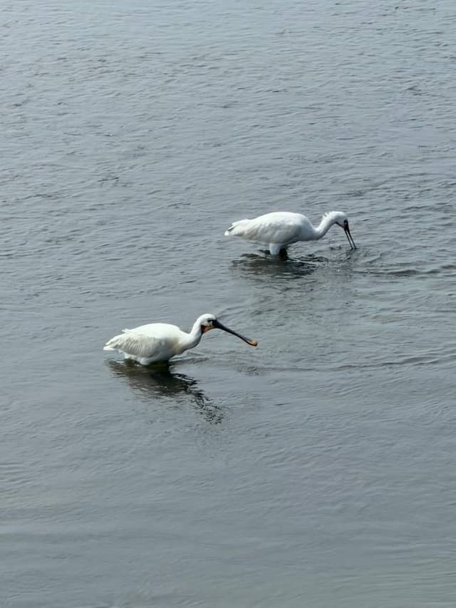 Photo 6 by John B. (3/31/26)