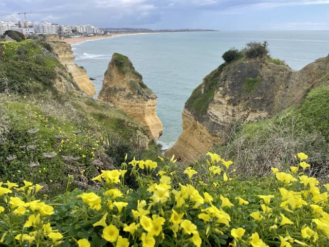Photo 12 by William C. about renting a Renault Clio in Lisbon (3/15/25)