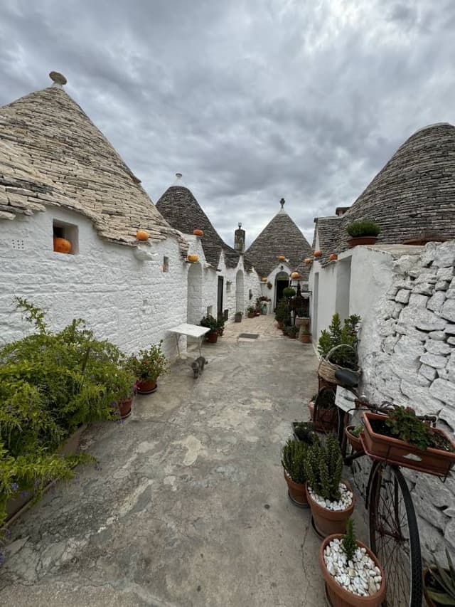 Photo 6 par Isabelle F. (19/09/24)