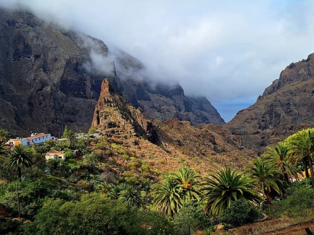 Zdjęcie 11 wykonane przez Jolanta C. (7.07.24)