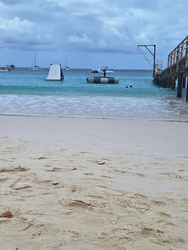 Photo 2 by Linda P. (5/29/26)