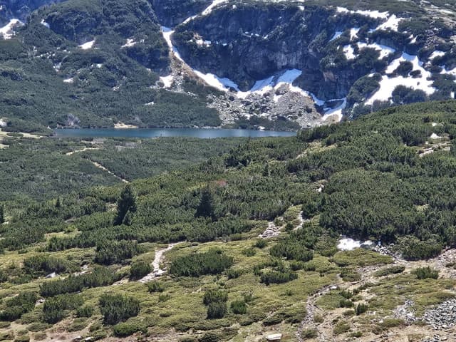 תמונה 6 מאת tzipora M. (22.5.25)