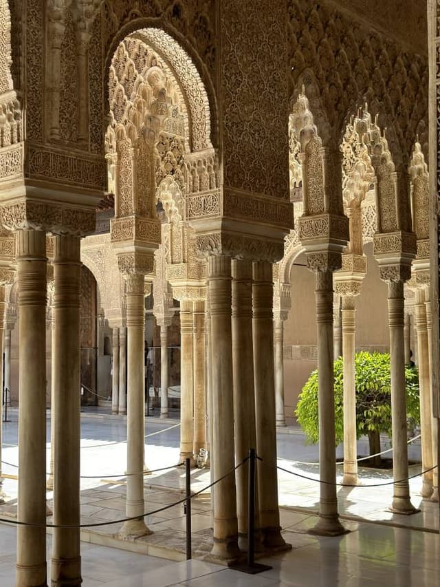 Photo 5 by Valerie B. (8/26/24)