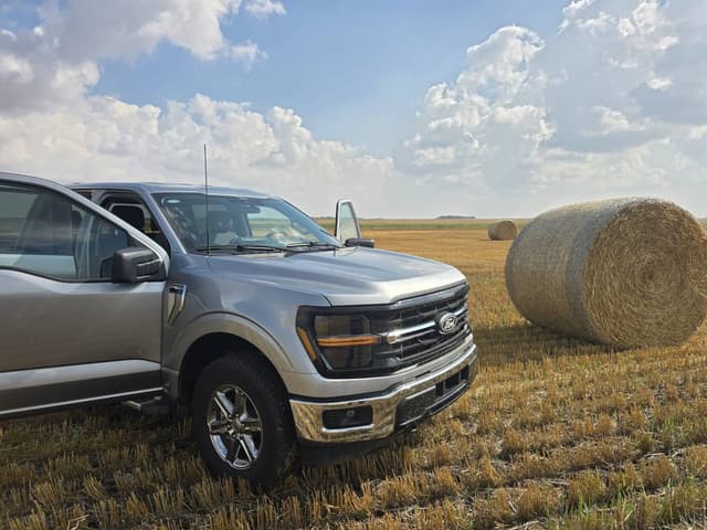 Zdjęcie wykonane przez LUKASZ P. dotyczące wynajmu Ford F-150 w Edmonton dnia (22.09.25)