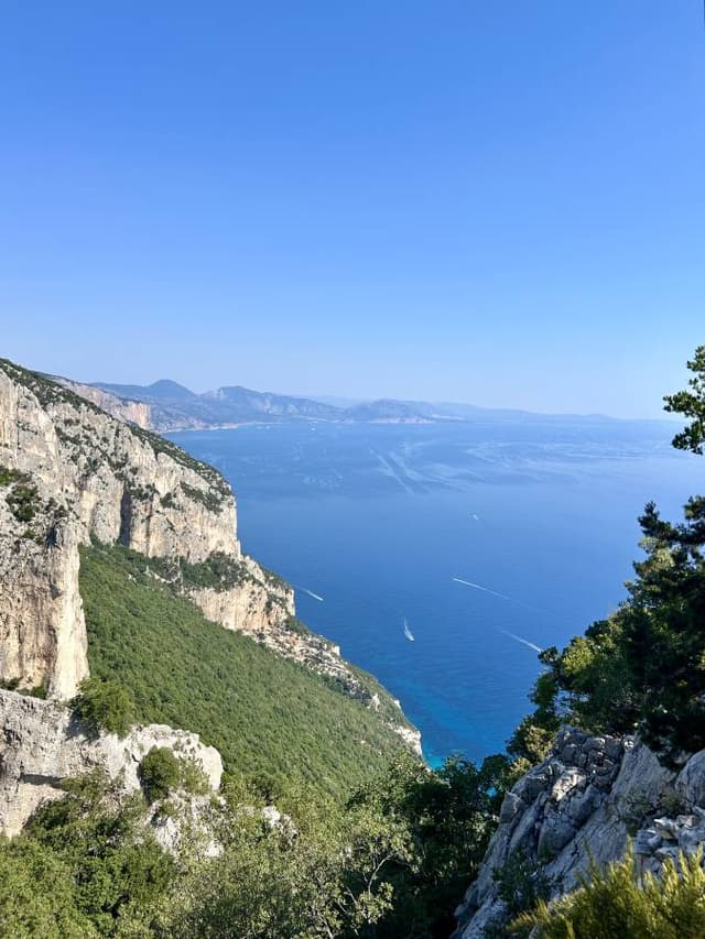 Photo 4 by Zita H. about hiring a Volkswagen Polo in Olbia (10/07/25)