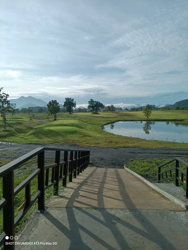 (25/11/4) Tadashi Y. による写真