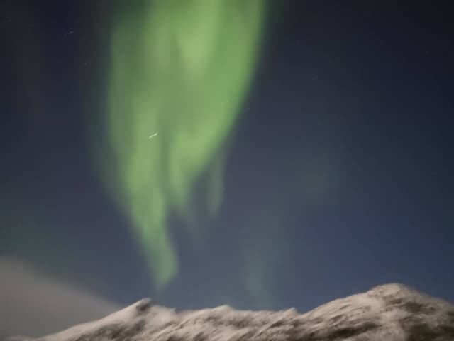 Photo 7 by Lubomir T. (11/8/25)