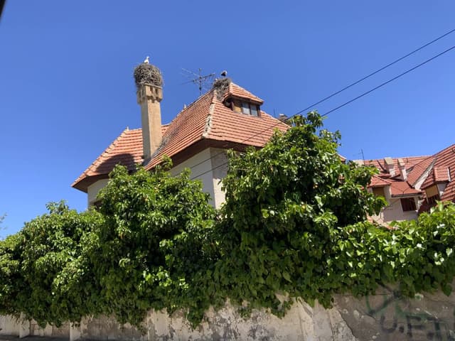 Photo 2 par Ahmed B. (21/05/24)