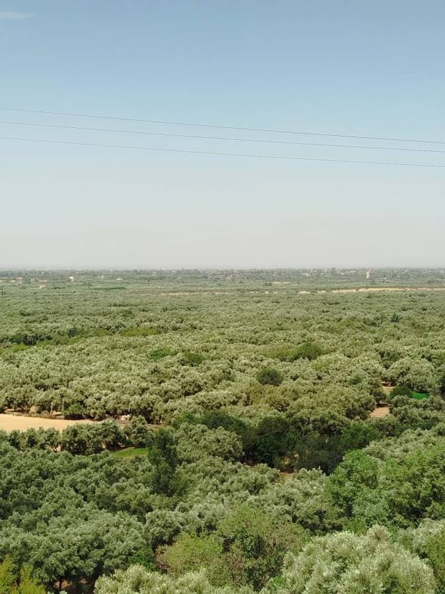 Photo 2 par said M. sur la location d'un Dacia Logan au Maroc (18/08/25)