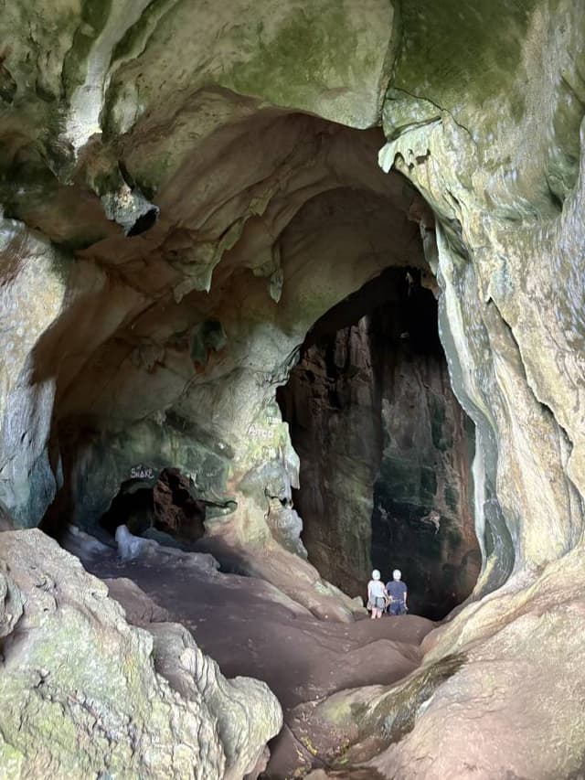 Photo 2 by Sarah P. (1/21/26)