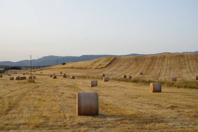 Photo 12 by Kin wai L. about hiring a Toyota Aygo in Olbia (22/05/24)