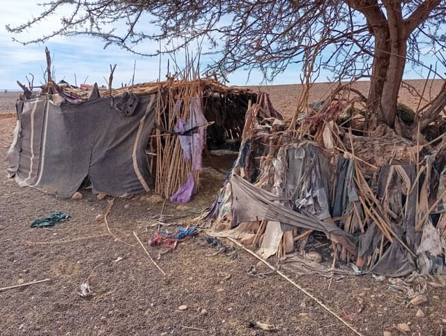 Photo 15 par Gilbert C. (28/01/26)