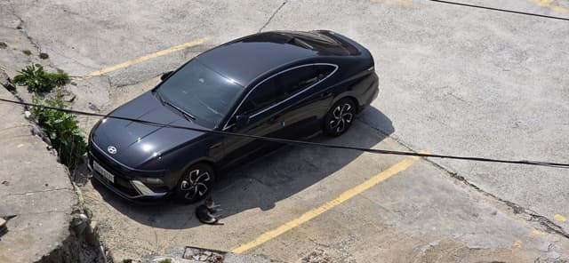 Photo by Raymond R. (4/7/26)