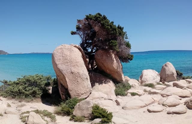 Photo 6 by Robert W. about renting a Nissan Qashqai in Cagliari (7/18/25)