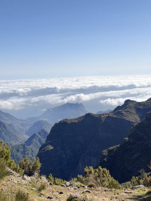 Photo 5 by Hortencia C V. (4/11/26)