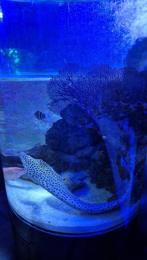 Photo par David B. (24/02/25)