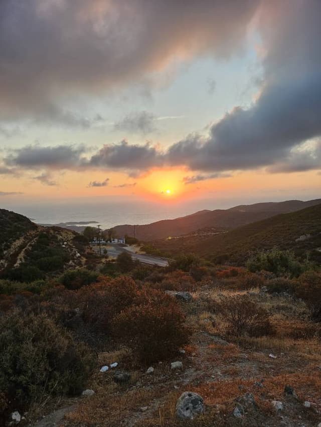 Photo 4 by Alexandra B. (10/2/25)