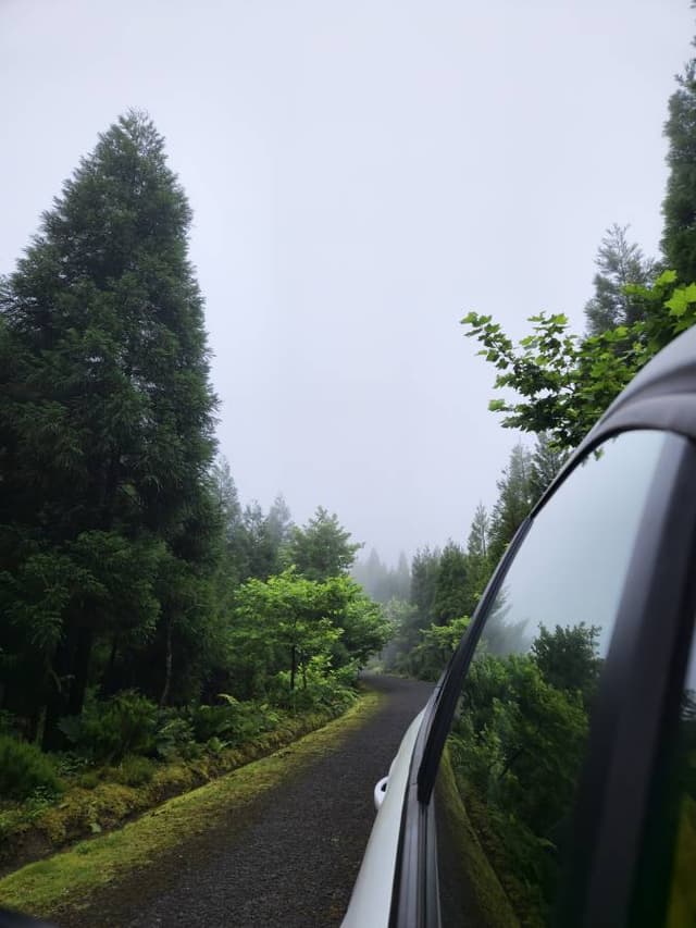 Foto de Daniel G. sobre el alquiler de un Citroen C3 en Ponta Delgada (20/7/24)