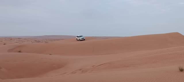 Foto 4 di PAOLO N. (07/01/25)