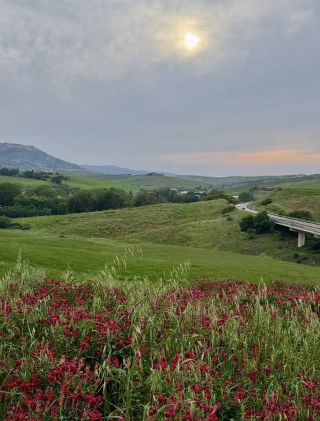 Fotografia 7 realizată de Giorgiana Denisa M. (13.05.26)