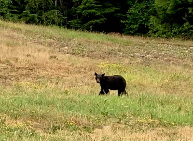 Foto door Bernhard N. (1-8-24)