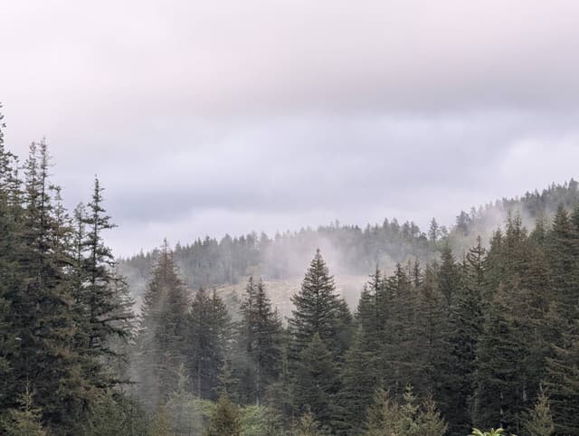 Photo 8 by Vadims M. (5/20/26)